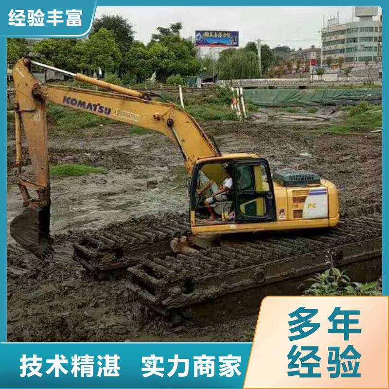 安徽芜湖湿地水挖机固化资讯