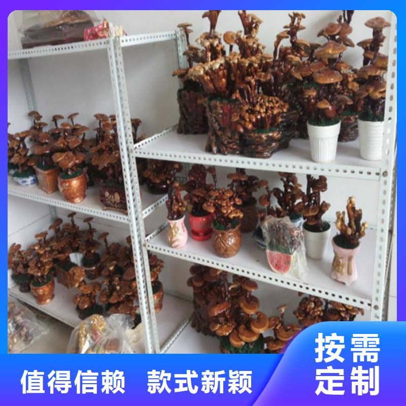 滁州销售
灵芝超微粉-云海灵芝种植专业合作社