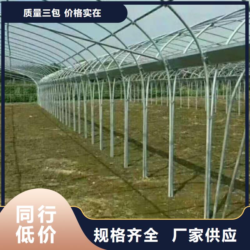 上海养殖温室大棚价格优惠