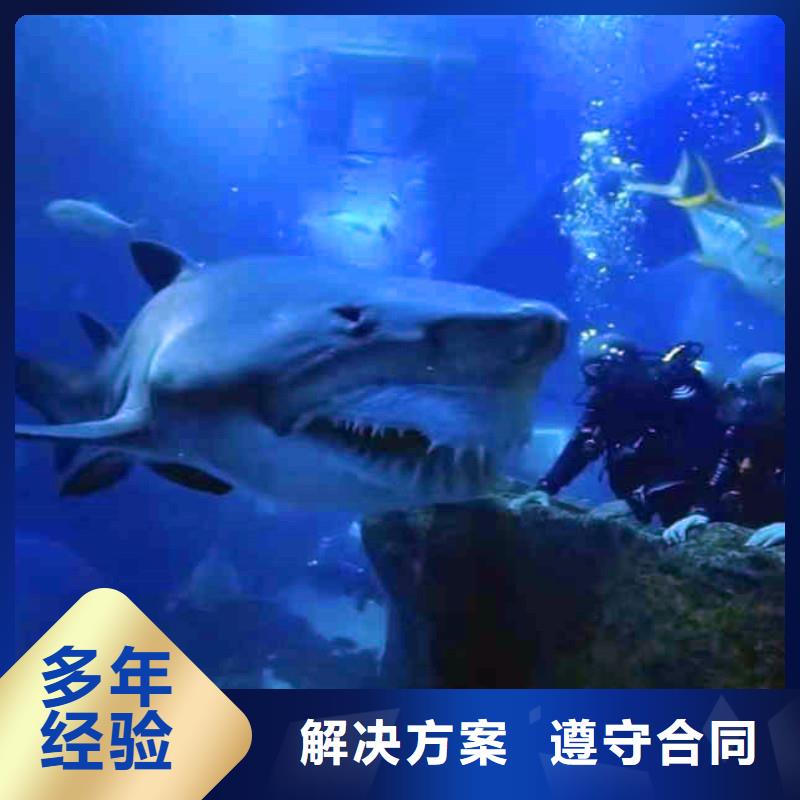 江苏扬州本地=桥桩码头水下检测拍照公司=欢迎电询=深海恐惧症的不要看！