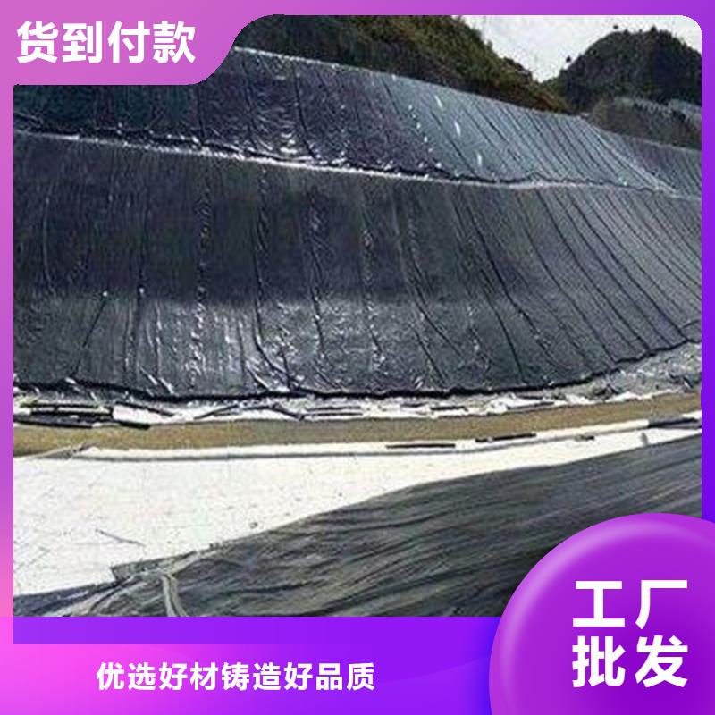 咸宁HDPE防渗膜-土工膜-公司