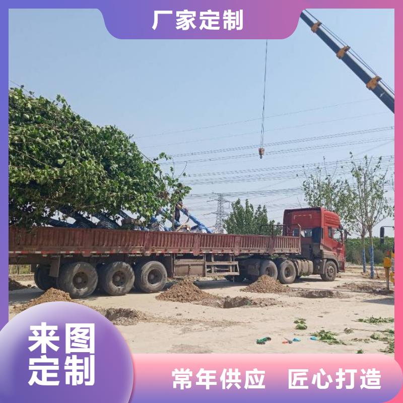 淤泥原位固化 锦州淤泥原位固化施工机械值得信赖