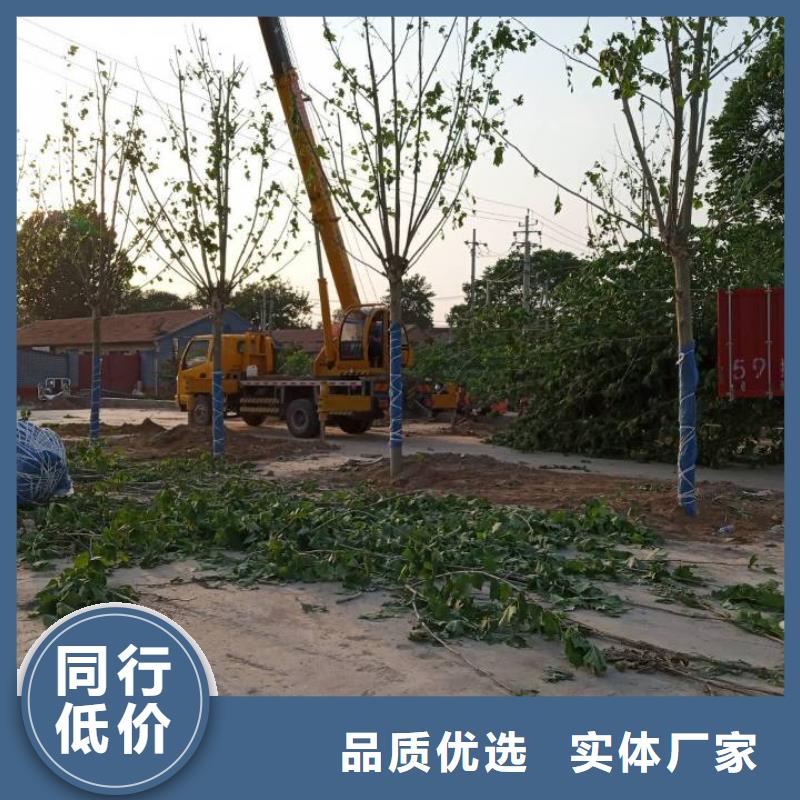 流态固化土 上海流态固化土施工单位信息推荐