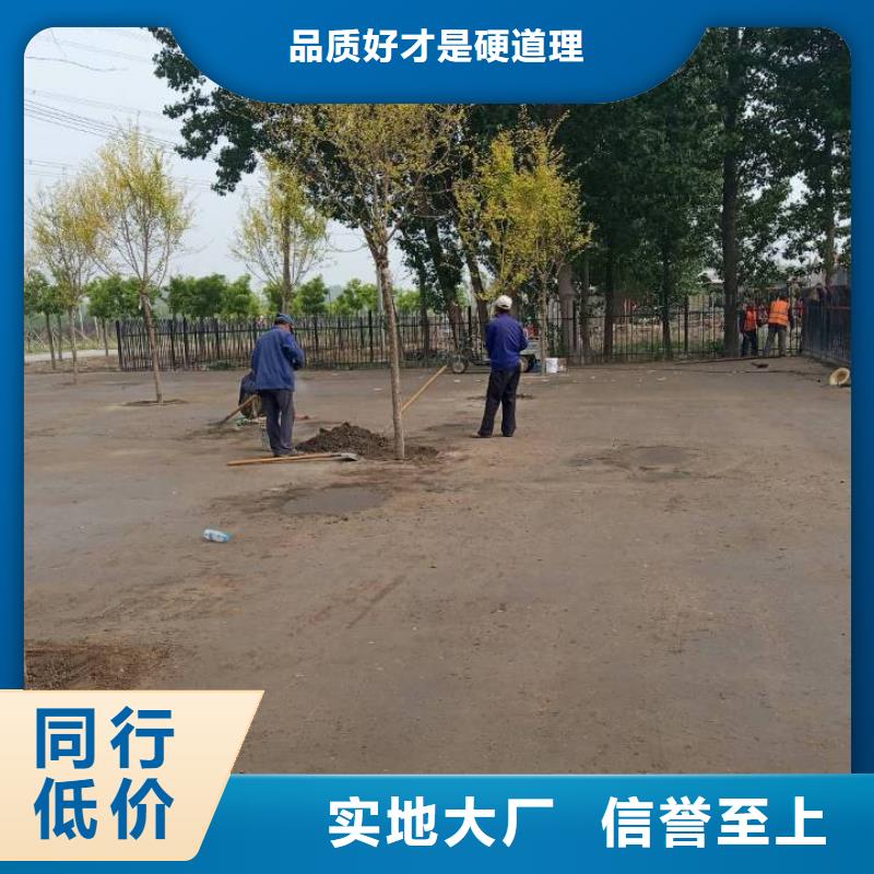 淤泥原位固化 锦州淤泥原位固化施工安全欢迎来电