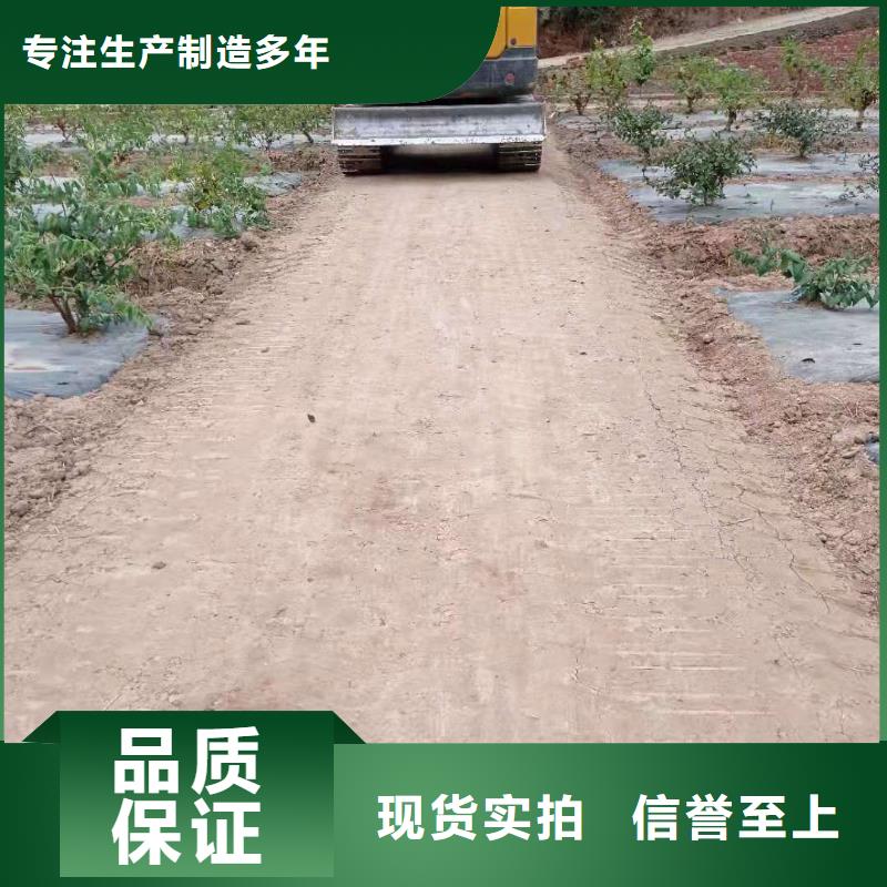 堤坝围埝固化 江苏南京沙漠固化剂铸造  