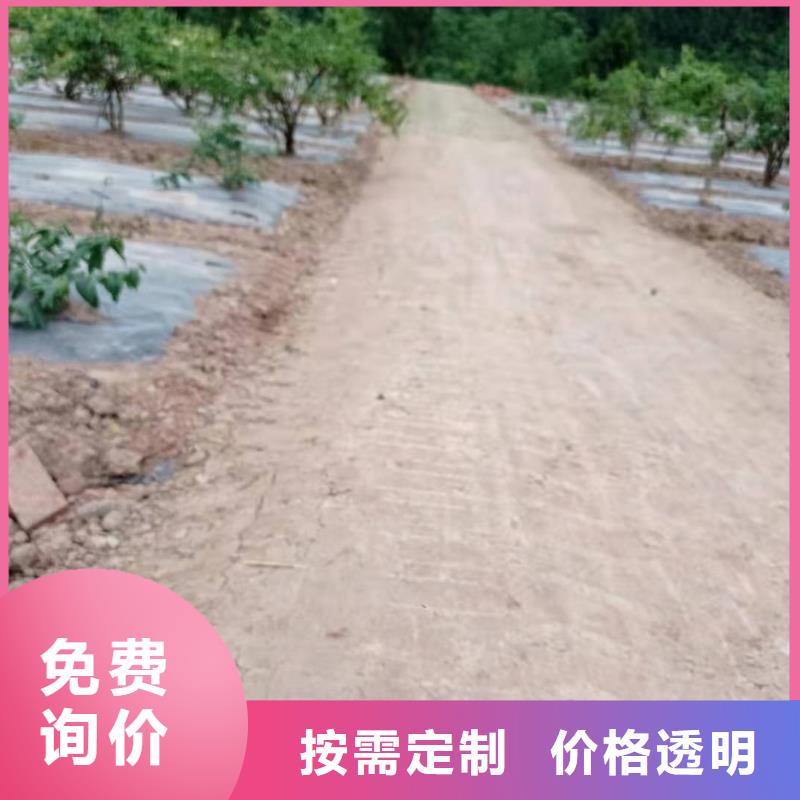 西宁土壤稳定剂 西宁地质灾害滑坡治理怎么代理？
