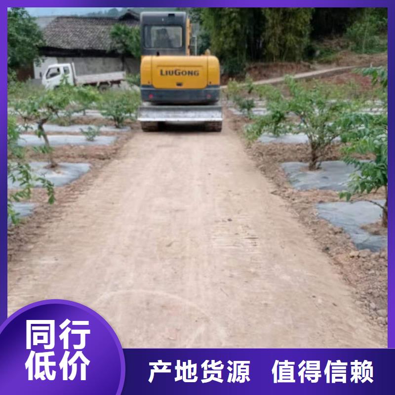 台州软土淤泥原位固化 台州泥浆固化剂加工