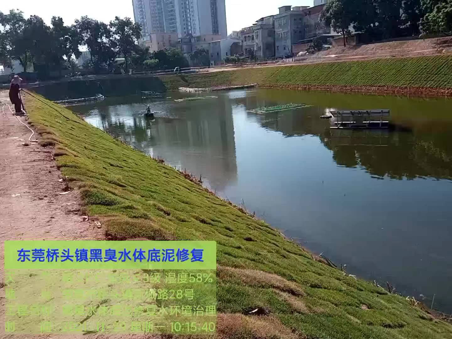 惠州淤泥原位固化 惠州土壤污染修复服务为先