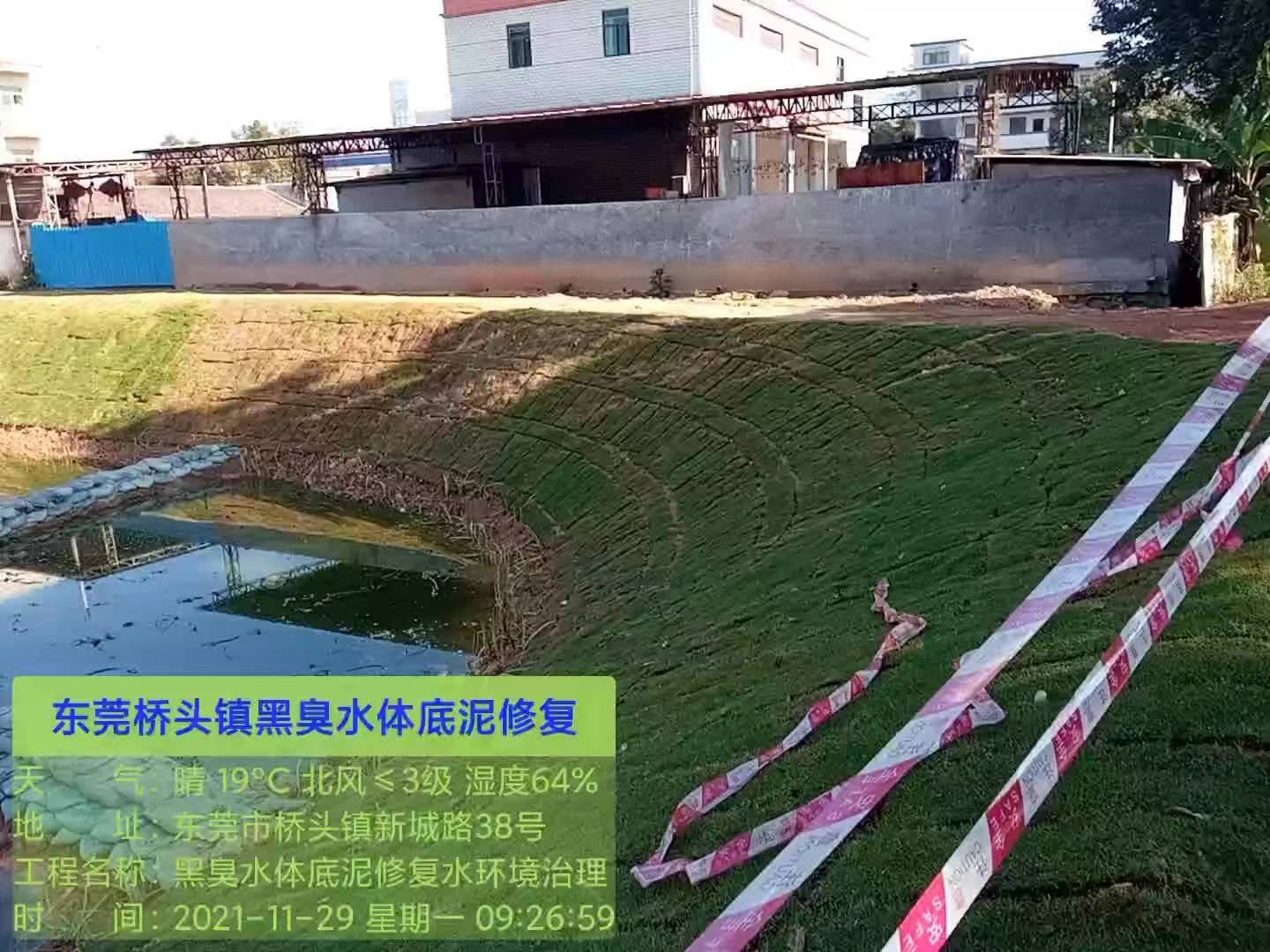 广安淤污泥原位固化 广安土壤污染修复点击