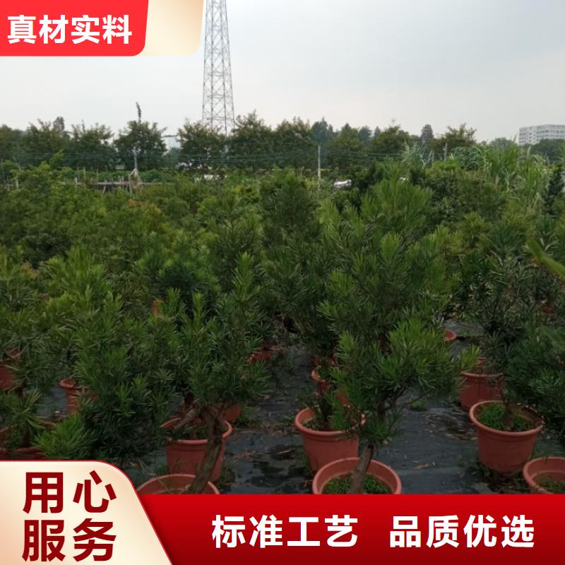 北京 彩钢板屋顶防水 北京儒亿建筑修缮预算