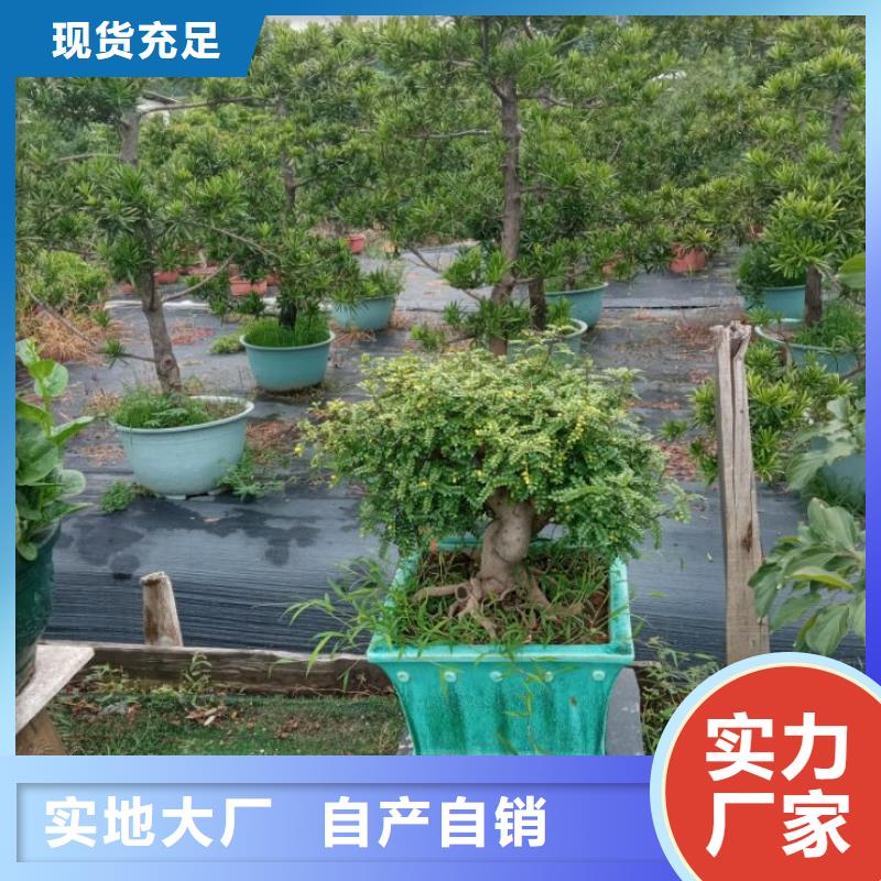 台州 金属屋面防水系统 台州儒亿建筑修缮预算