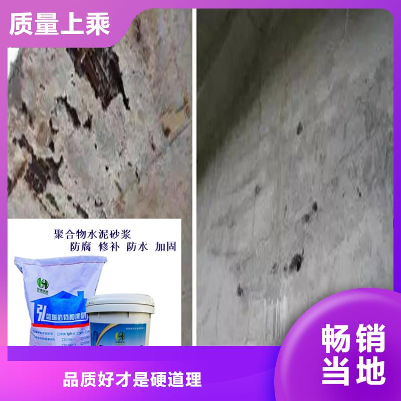 广东省广州市萝岗区地铁混凝土墙表面平色处理砂浆