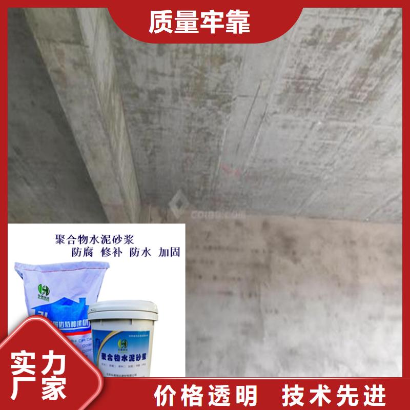 广东省江门市新会区隧道混凝土麻面修补砂浆