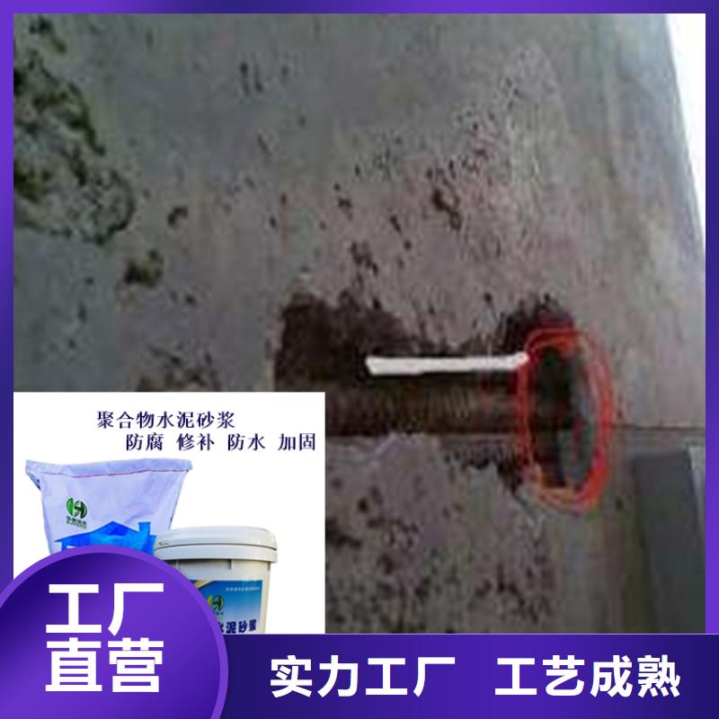 广西省桂林市临桂区混凝土表面防腐修补砂浆