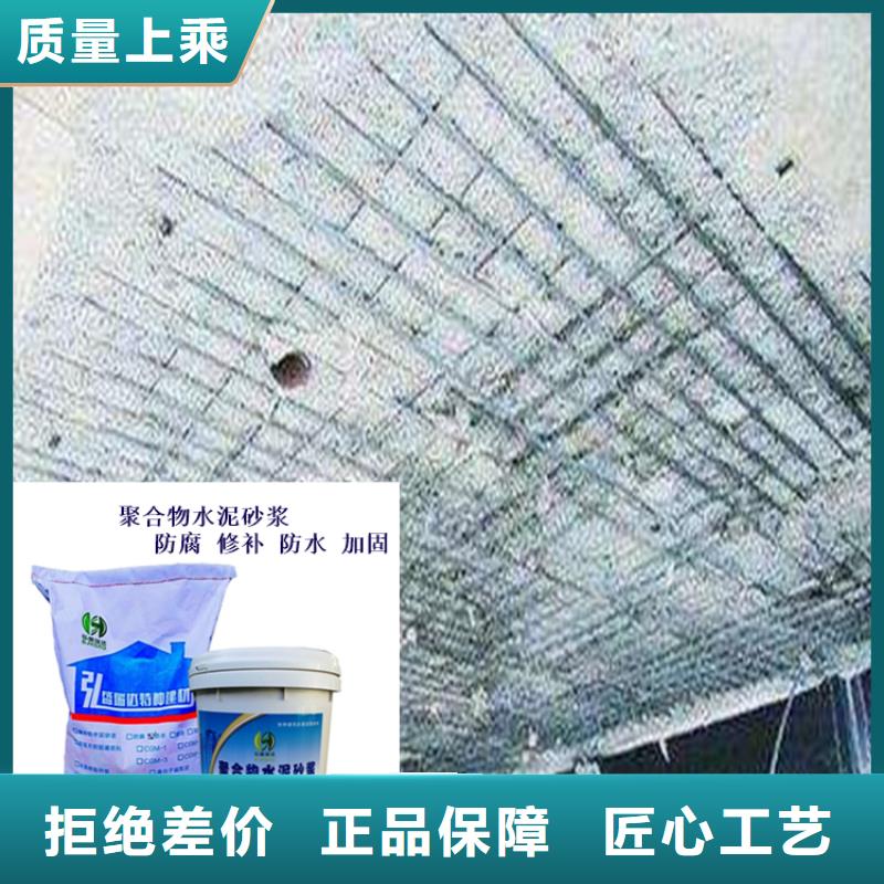 广东省河源市源城区柱子缺损修补砂浆