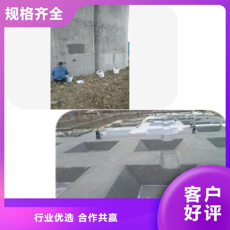 江西省南昌安义港口隧道防碳化浆料