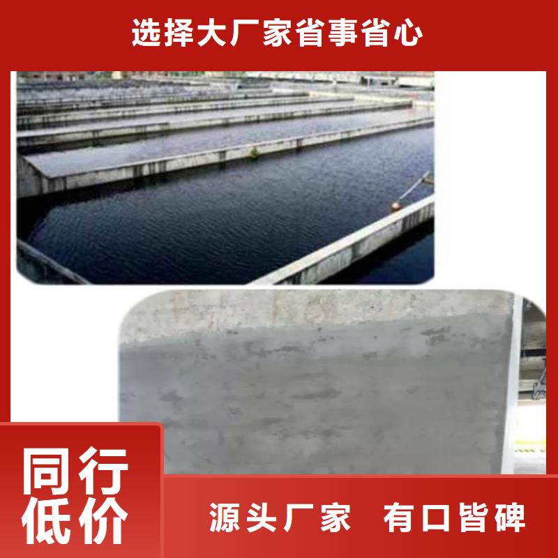 江苏省南京溧水污水处理池防碳化浆料