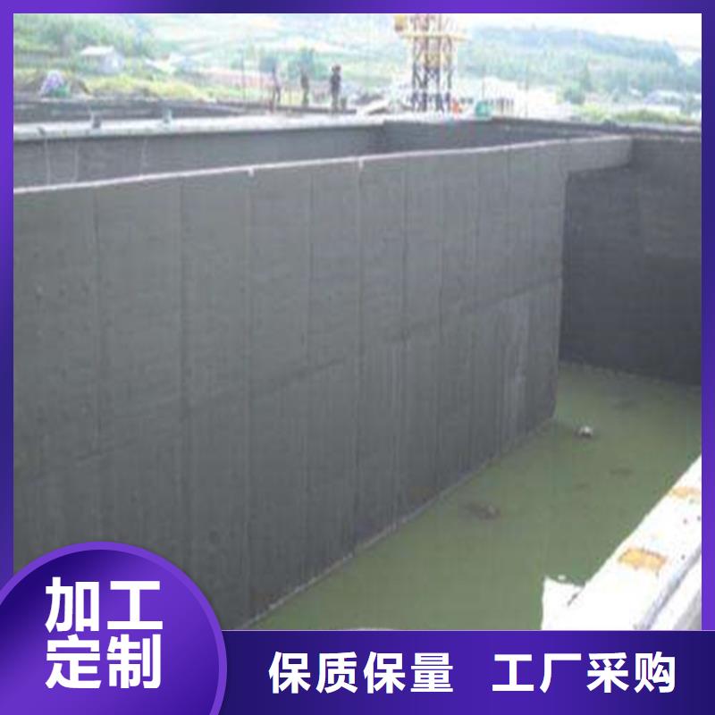 贵州省安顺西秀自来水厂防碳化浆料
