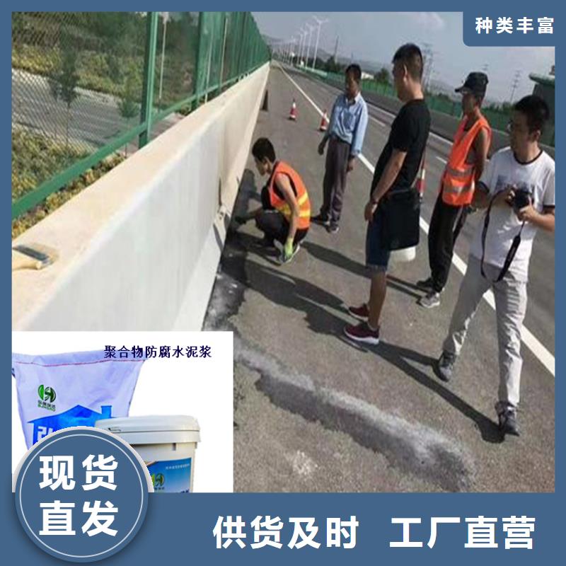 云南省临沧永德桥梁蓄水池防碳化浆料