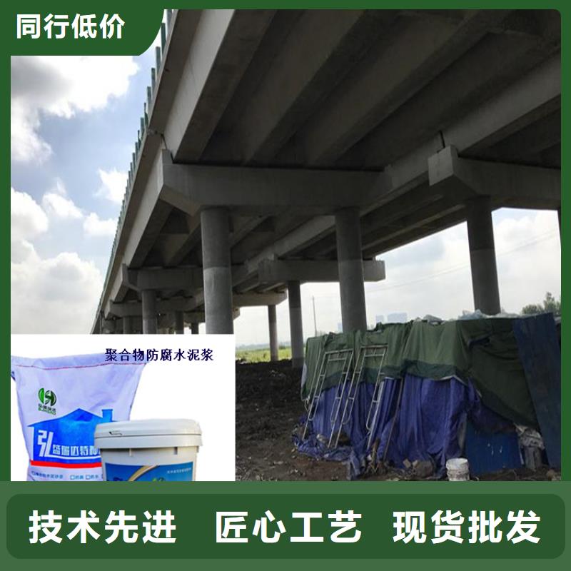 河南省郑州金水水闸大坝防碳化浆料