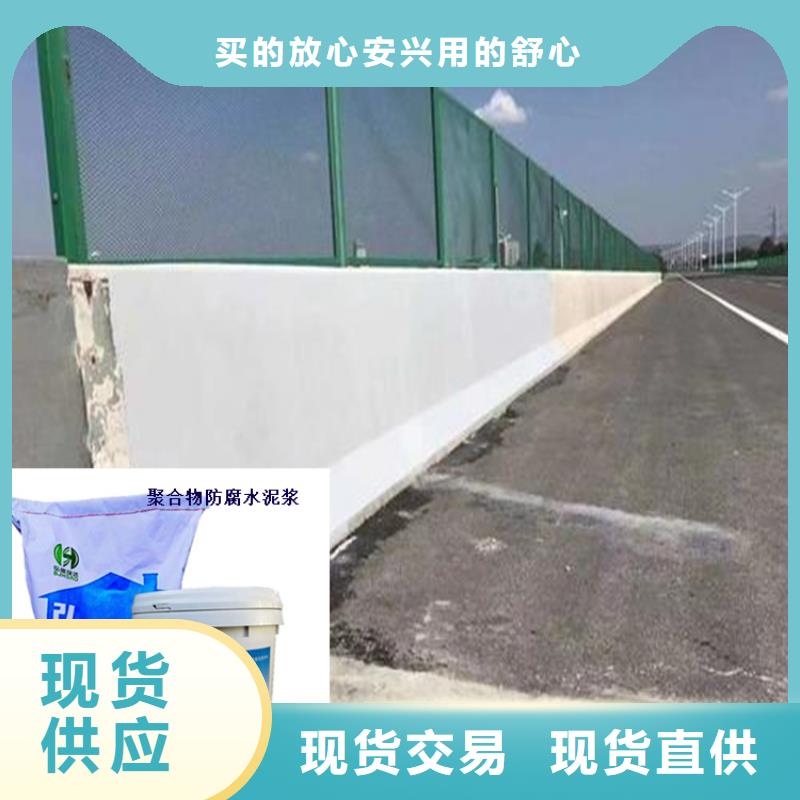 广东省广州萝岗污水处理池防碳化浆料