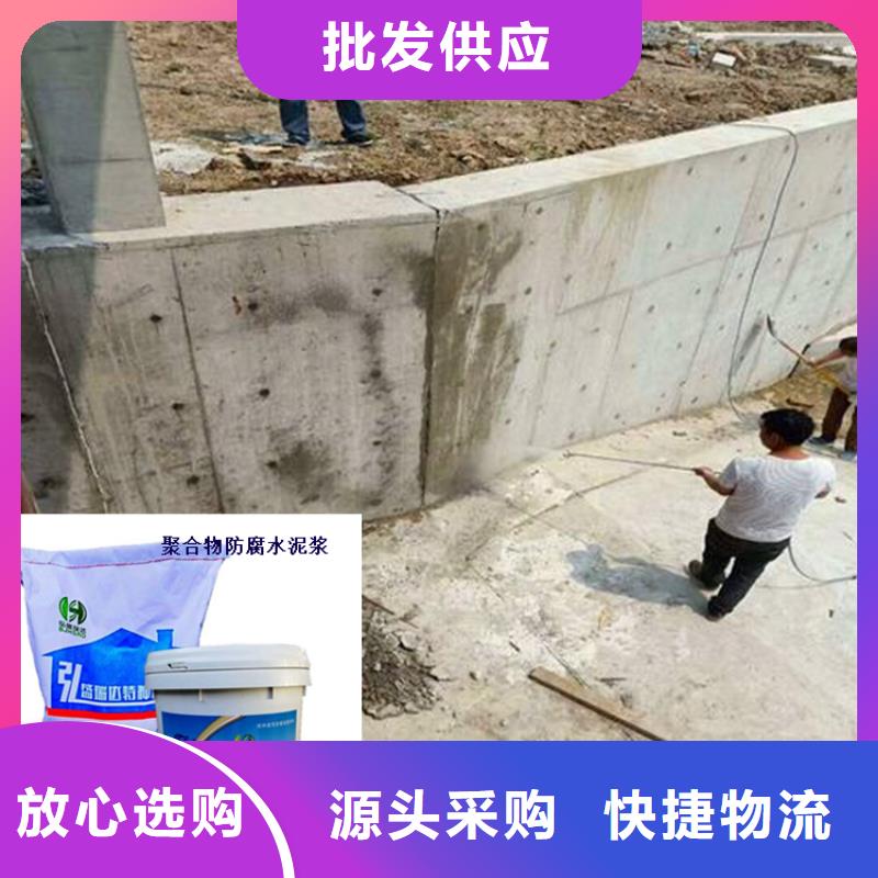 陕西省铜川耀州污水处理厂防碳化浆料