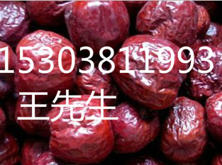 pp16981_2.gif