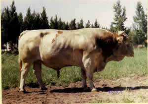 20110221051501853.jpg