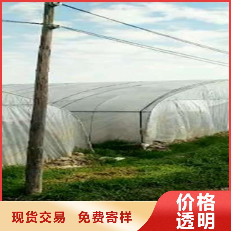 贵州大方县温室大棚管供求  