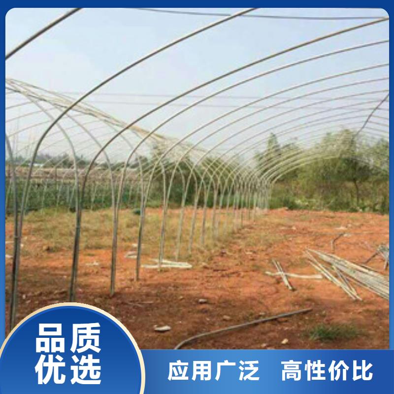 襄樊襄州区温室大棚管1.2寸蔬菜大棚管一手价格