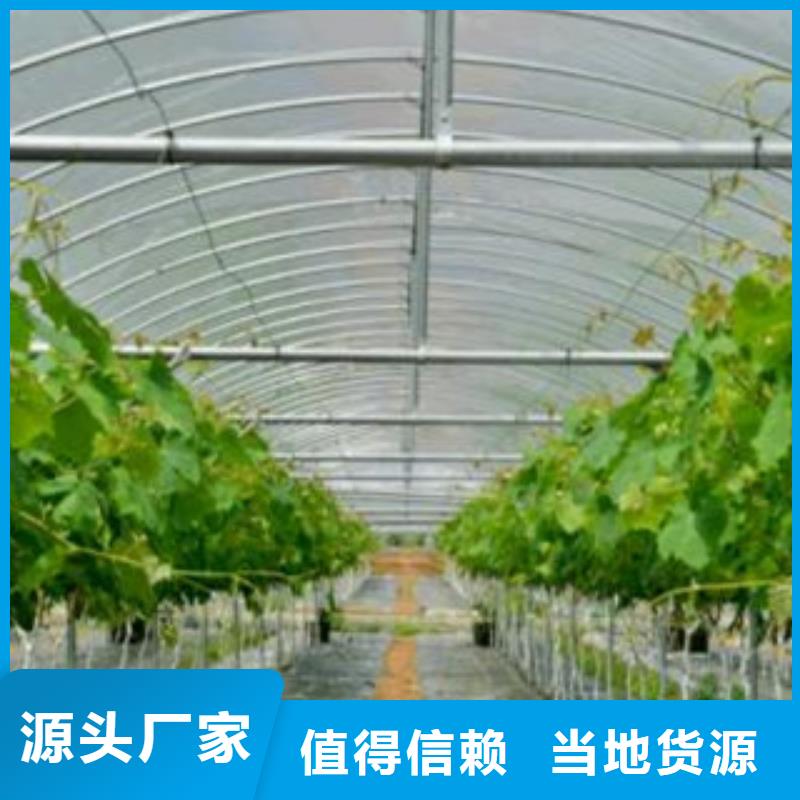 广东省海丰县q195材质大棚管生产厂家一个大棚多少钱