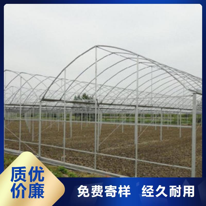 江西赣州定南县农业蔬菜大棚用镀锌钢管