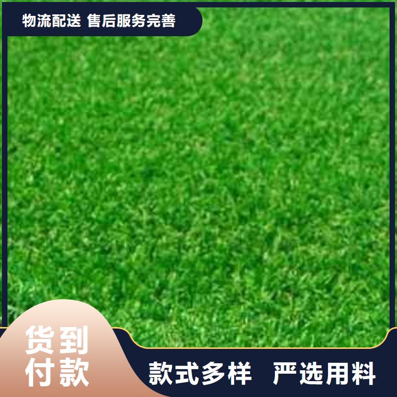 南乐县人造草坪环保直销材料生产