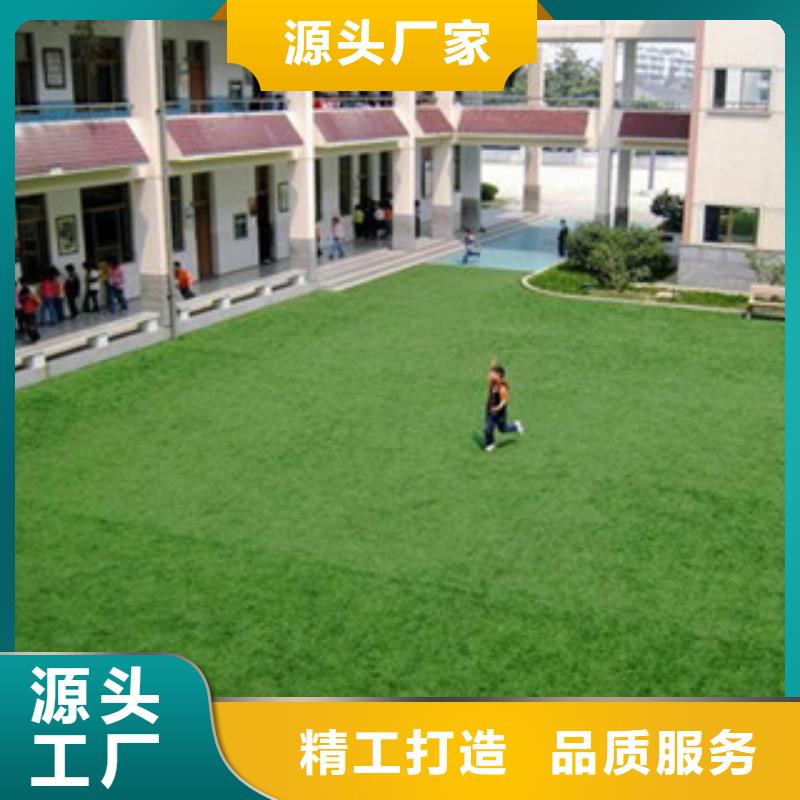 张掖市甘州工地人造草坪制作厂家体奥体育有限公司