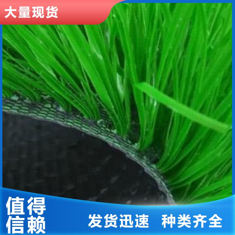 庆云县人造草坪环保生产厂家