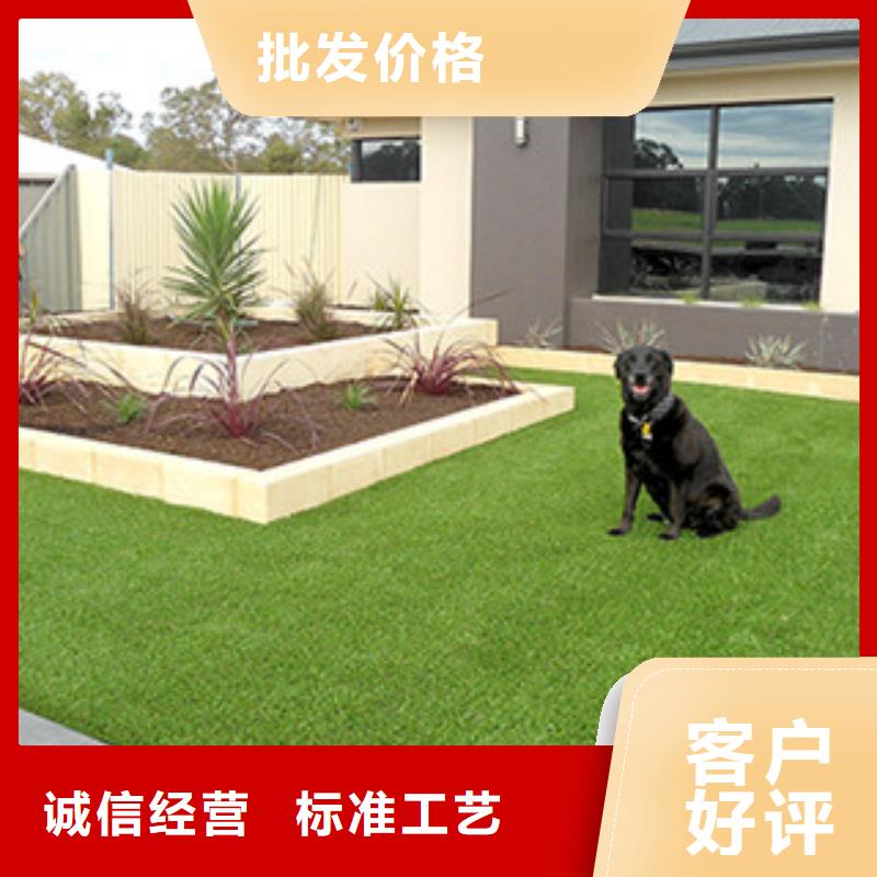 息县休闲人造草坪免费设计