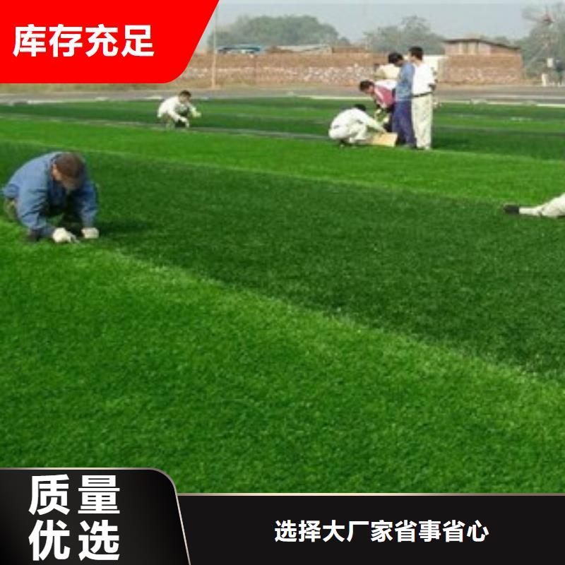 张掖市山丹工地人造草坪材料制作有限公司