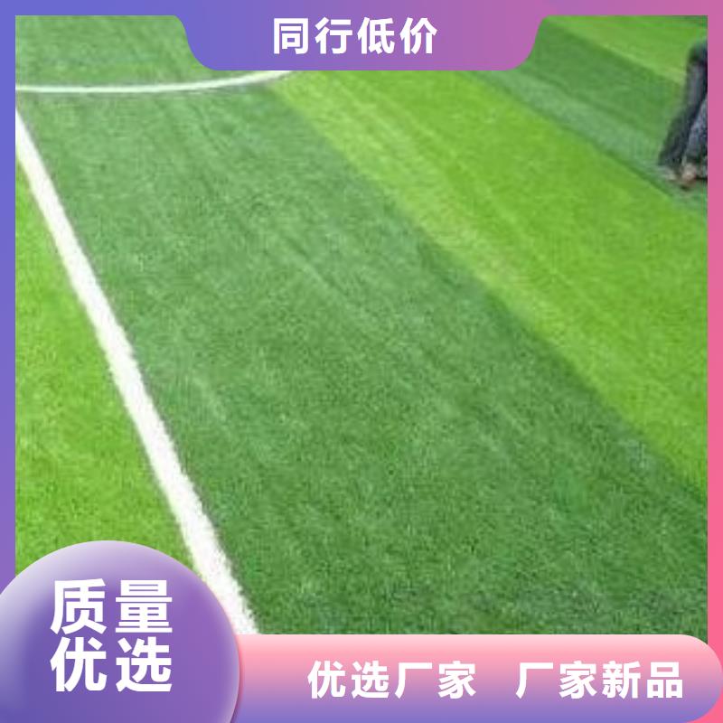 张掖市临泽工地人造草坪生产施工体奥体育有限公司