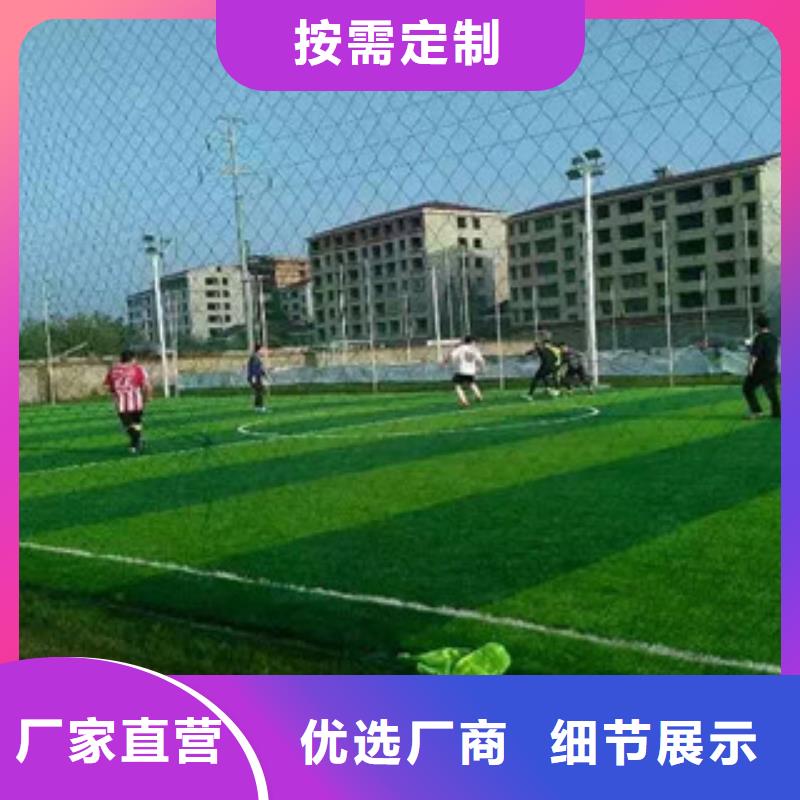 会宁县工地人造草坪体育产品
