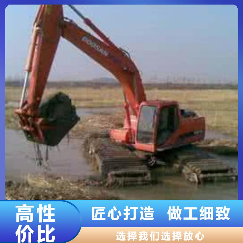 青川县水陆两用挖机出租厂家案例