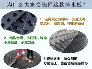 价格不是问题//杭州凹凸型塑料滤水板供货商