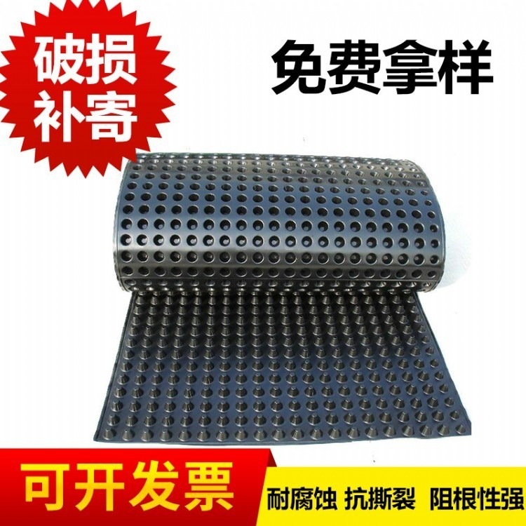 天津高3公分塑料蓄排水板--塑料疏水板生产厂家