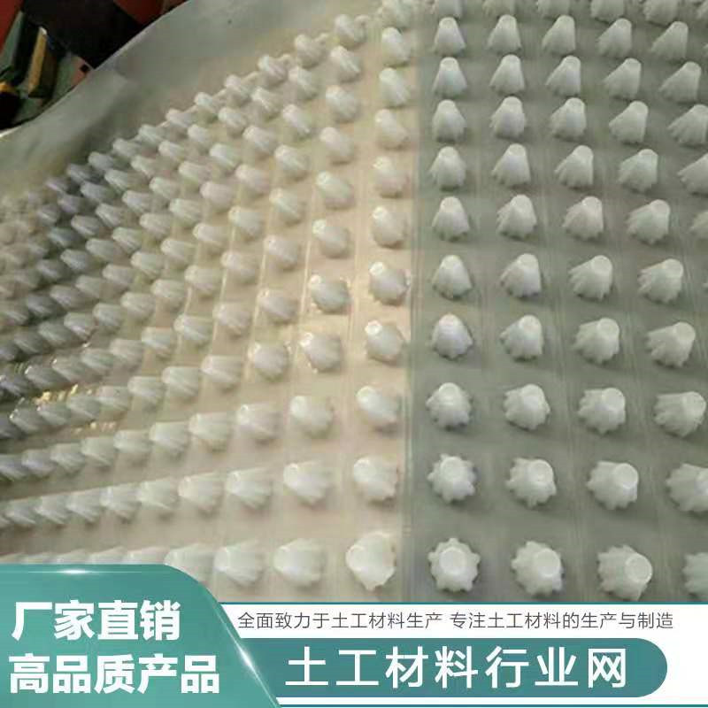 淮北高1.2公分蓄排水板--塑料疏水板多少钱