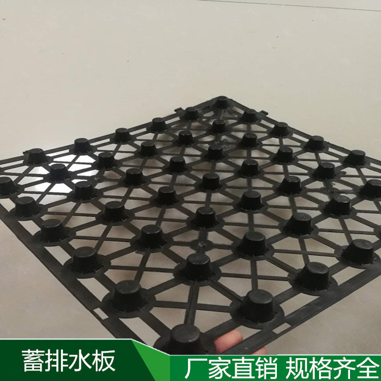 滁州高 2公分塑料蓄排水板--凹凸型排水板经销商