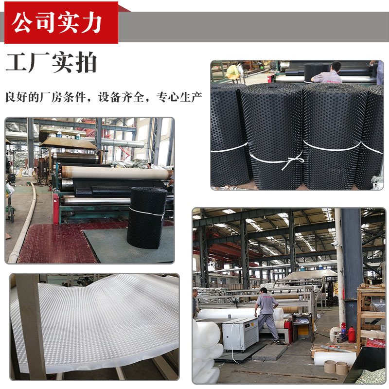 贺州高3公分塑料排水板--凹凸型塑料滤水板厂家