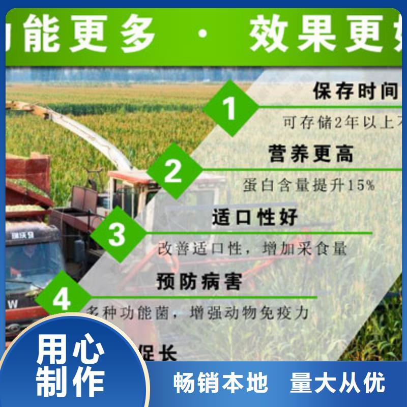 扬州玉米秸秆青贮发酵剂批发厂家