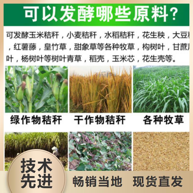 广州秸秆青贮发酵剂如何购买