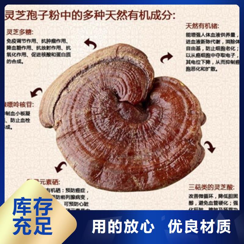 安庆灵芝菌种主要成分作用