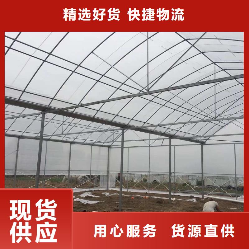 广东湛江蘑菇大棚温室大棚钢管厂包安装