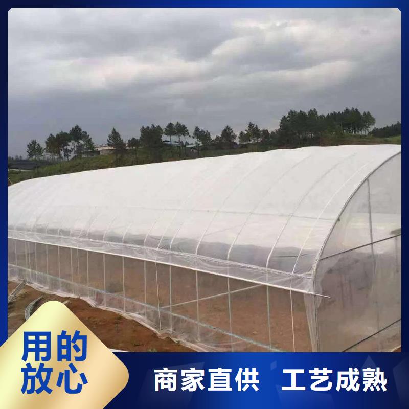 广东梅州新型温室大棚温室大棚钢管厂包安装